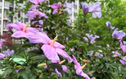 拼多多sku可以改动吗？