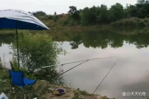 秋季钓鱼，抓住4个狂口机会，爽钓三秋，渔获满满