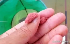 野钓用什么饵料最好？用这几种饵料野钓，大鲫大鲤连竿上不停！