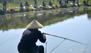 从零开始学钓鱼！掌握基础技巧、快速提高钓获率，轻松吸引大鱼！