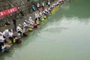 野钓必备装备清单，备齐这6种工具，作钓效率大提升