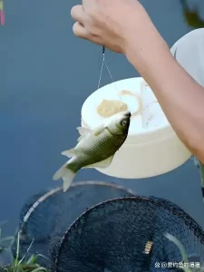 从零开始学钓鱼！掌握基础技巧、快速提高钓获率，轻松吸引大鱼！