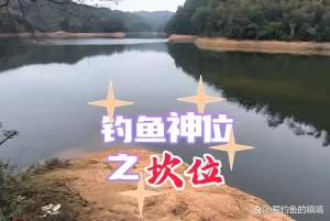 从零开始学钓鱼！掌握基础技巧、快速提高钓获率，轻松吸引大鱼！