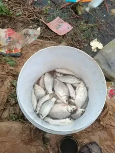 春季野钓饵料这样用，把隔壁打闭口，爆护配方公布