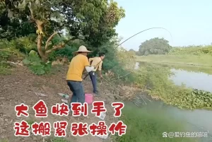 从零开始学钓鱼！掌握基础技巧、快速提高钓获率，轻松吸引大鱼！