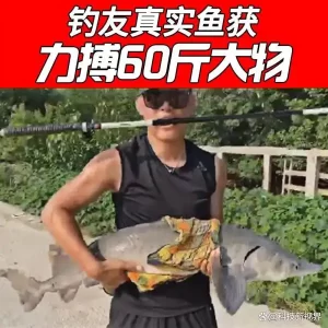 超轻超硬鱼竿怎么选？推荐10款钓鱼好物，性价比高又耐用