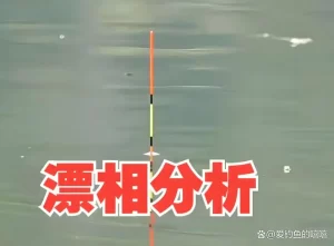 从零开始学钓鱼！掌握基础技巧、快速提高钓获率，轻松吸引大鱼！