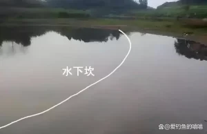 从零开始学钓鱼！掌握基础技巧、快速提高钓获率，轻松吸引大鱼！