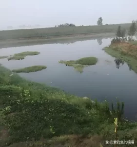 从零开始学钓鱼！掌握基础技巧、快速提高钓获率，轻松吸引大鱼！