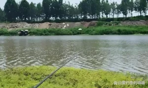 从零开始学钓鱼！掌握基础技巧、快速提高钓获率，轻松吸引大鱼！