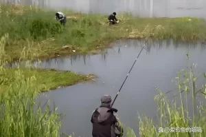 从零开始学钓鱼！掌握基础技巧、快速提高钓获率，轻松吸引大鱼！