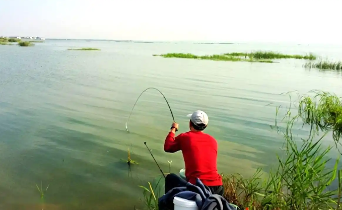 03d020543736307bf10e4ede7888fd31