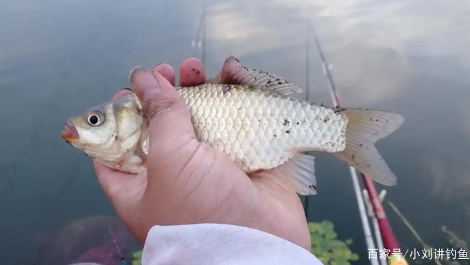 67f0f82386e6029b3e1ef4c70c5cc3d5