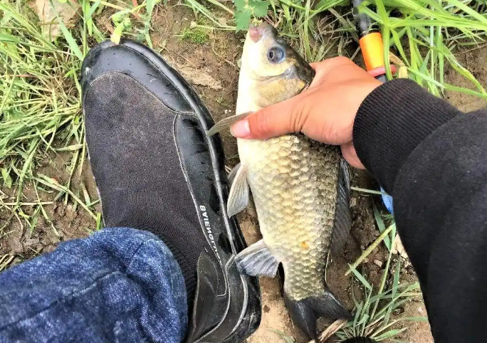 4cd0134b8e3dbdbcd651e6cac99967c4