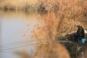 冬季钓鱼攻略：技巧与策略全解析