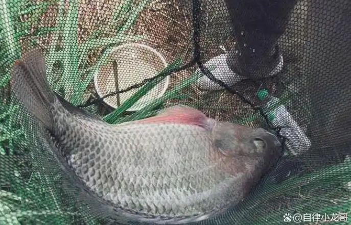 020fc49508a660426a2ad97ba5453eff