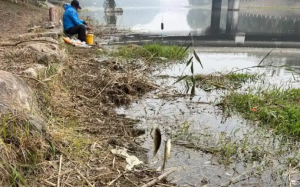 冬天钓鱼要人找鱼，钓位不对全白费，冬钓选位总结