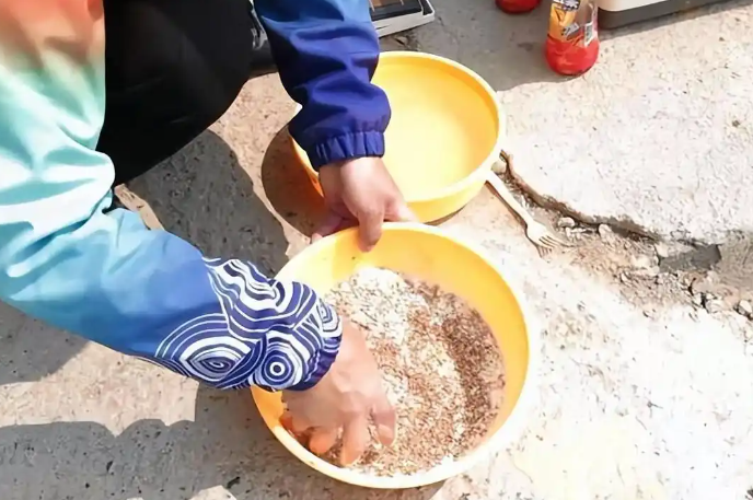 9d023ec6019b867414f8bbcde9541333