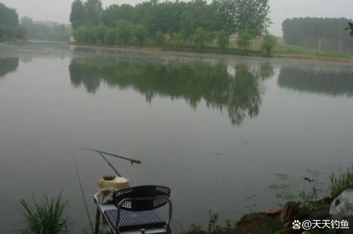 c5dd10c4f45377f6903d7535012814c5