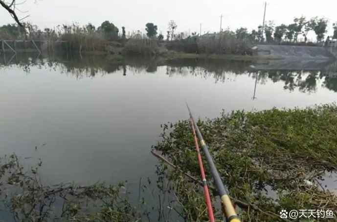 f21bbb85365f74acb83f91698004d073