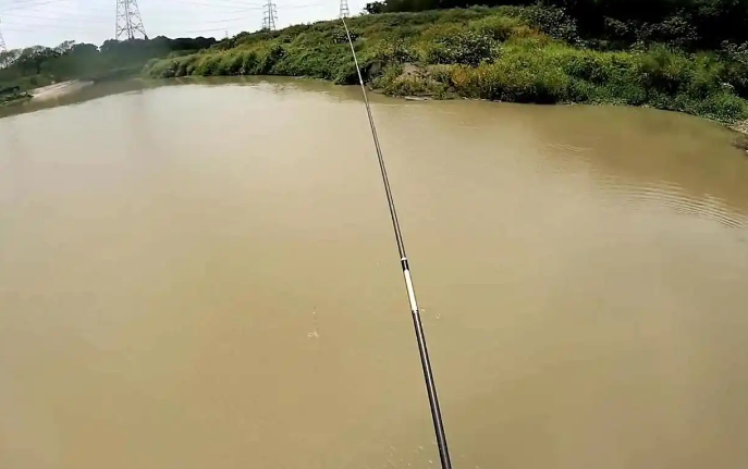 f97555c7f04ca2f6565668ae4e58c801