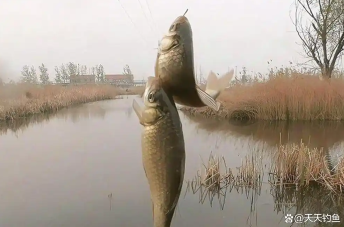 5e41397b8eb12fd23ccef7925a4446dc