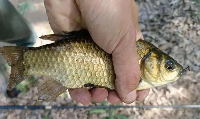 bd44e9089d8223a5c93ab4e6aa3c53f4