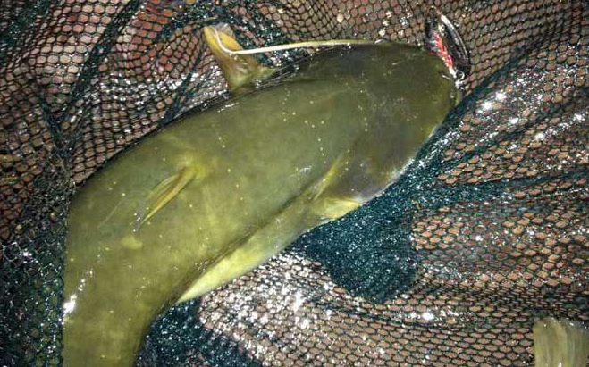 8828adcc5ae22041ec5a640017eadaac