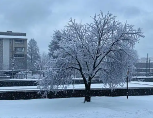 钓友必知，揭秘冬季钓鱼的六大禁忌，避开这些坑轻松爆护！