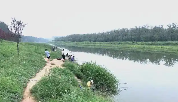 8a7a5aa1d568b7e1355ffdc3c24a6b5c