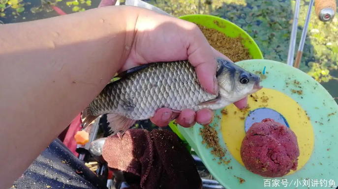 a4c8137f96f84cc8d95ca01623b60087