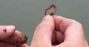 冬季钓鱼攻略：技巧与策略全解析