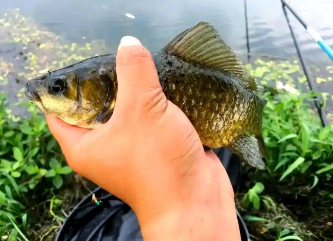 e86138c786bf7f0dcd3a5b677e724e36