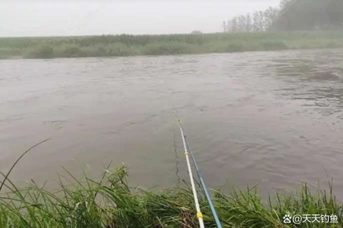 205f10f6477f9241c7aea13db39ef2b6