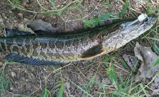 01f9143c59ebe72aea570df23bbed1c2