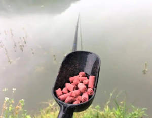 冬季钓鱼攻略：技巧与策略全解析