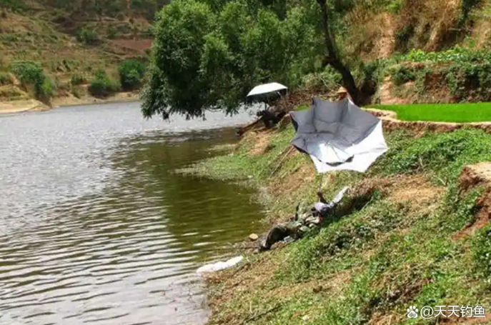 10a351671d1ab00a80c090693a668575