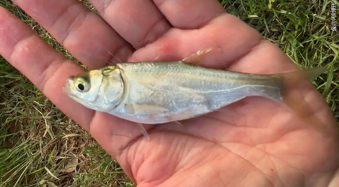 40a2304ad7f1da13d71e22495cfa7bcf