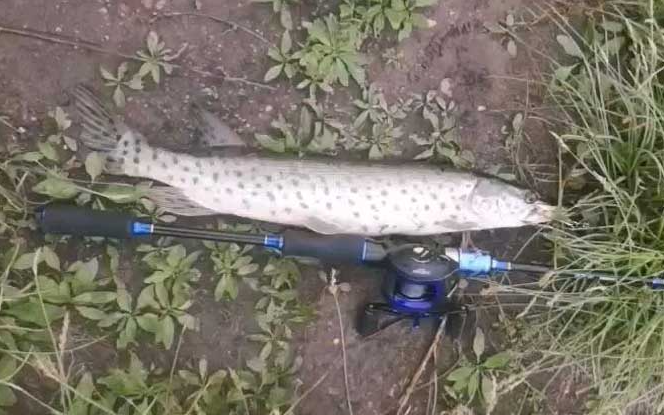 1b0e9230a300d33ac20a4afde3e062cd