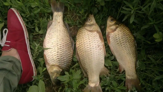 2b6a95faaafac9c22a74807dc5e37b37