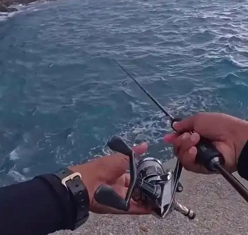 2a5c84e56d0e9200062c48b814514086