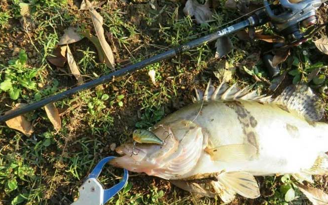 9ee8e0e80f372e92c9e6b302a053a751