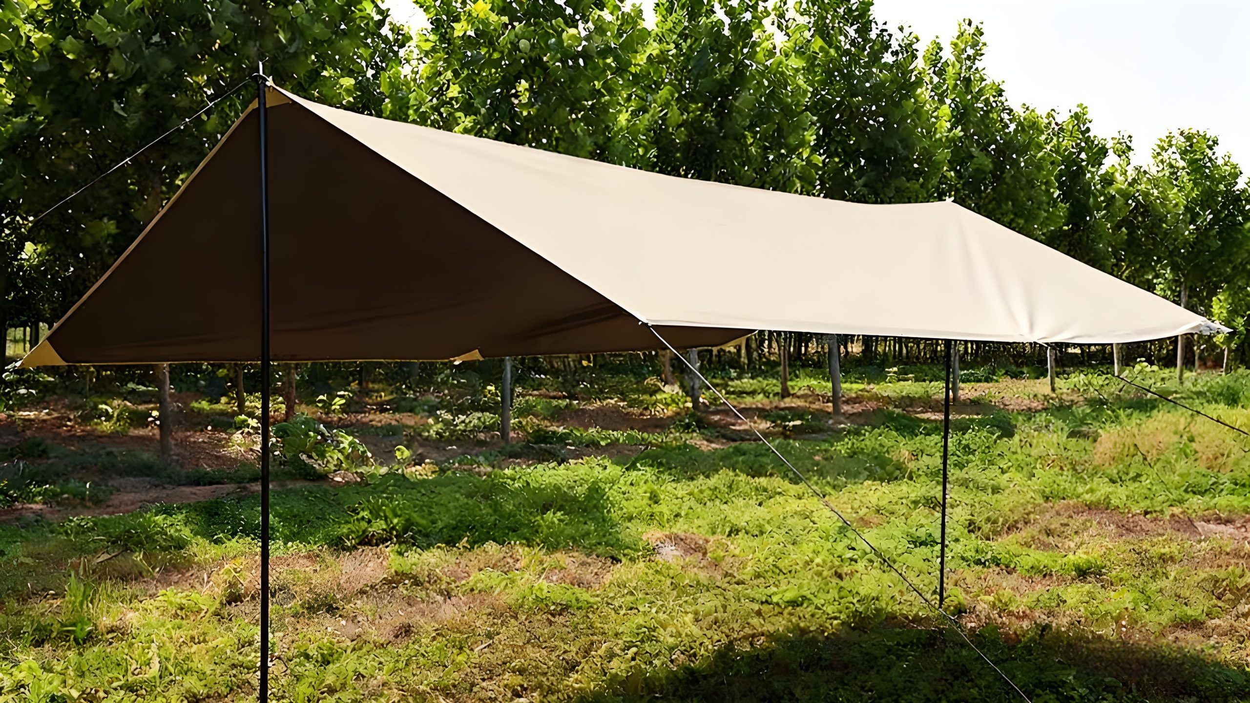 e762aa7446ca80ea6a15c2f6f50b970f