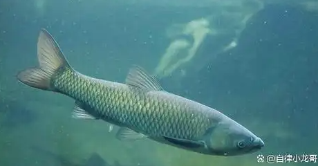 be70d3be4c4167bc3bf0811e3398fb1e