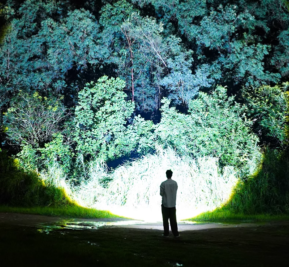 683977c7b61720fd65e9aa9474d5aedf