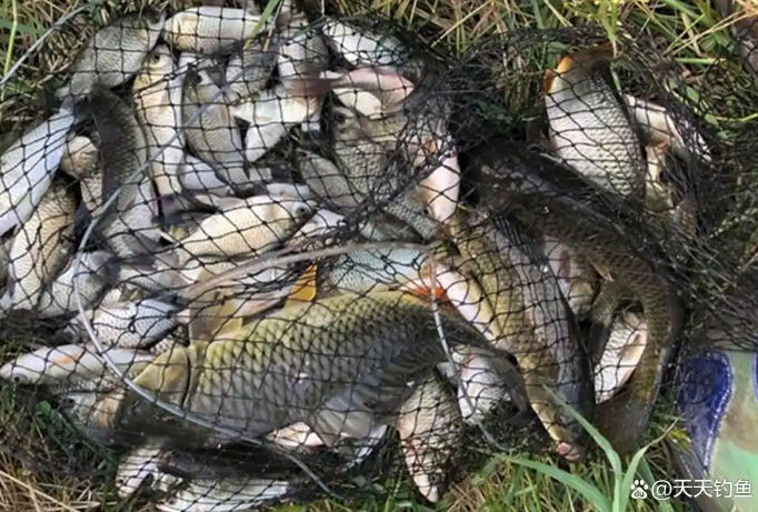 19d290a28530deff2286a928f8a86aad