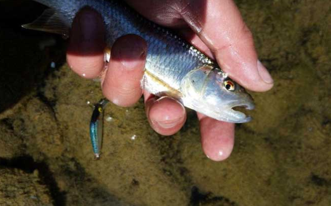 b868f0318974b03f27499a5f136a0eb0