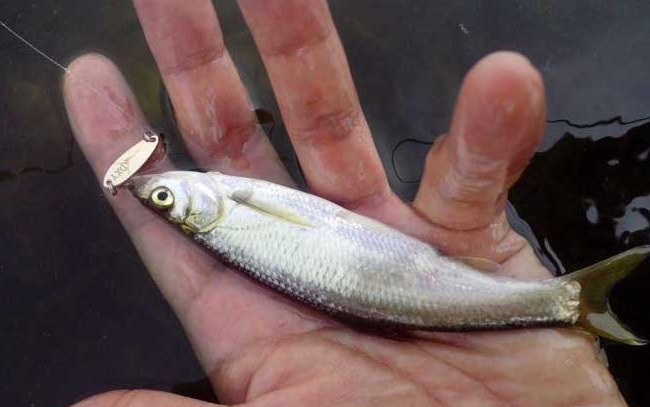 39b6608eb60d25f689e5b018f1056a26