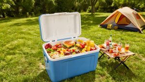 为啥别人露营像大片？这 5样闭眼入，体验感直接拉满