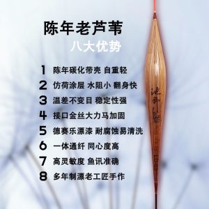 新手钓鱼必备装备合集！好的装备是成功爆护的第一步！